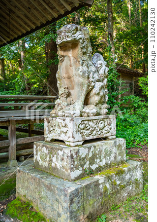 波波伎神社（ははきじんじゃ）狛犬　鳥取県倉吉市福庭 110242130
