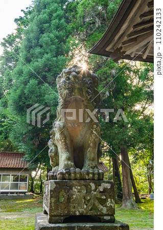 波波伎神社(ははきじんじゃ)狛犬 鳥取県倉吉市福庭 波波伎神社(ははきじんじゃ)狛犬 鳥取県倉吉市福庭 110242133