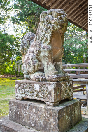 波波伎神社(ははきじんじゃ)狛犬 鳥取県倉吉市福庭 波波伎神社(ははきじんじゃ)狛犬 鳥取県倉吉市福庭 110242135
