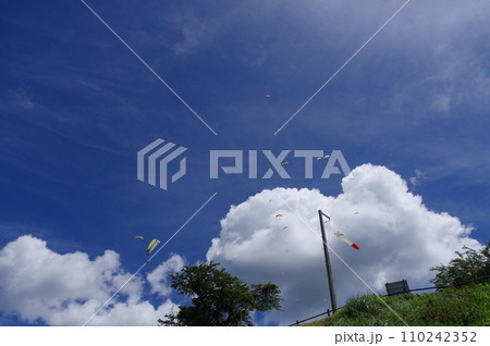 青空に舞うパラグライダー 110242352