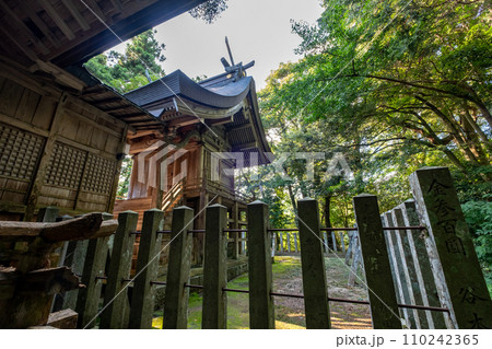 波波伎神社(ははきじんじゃ)本殿 鳥取県倉吉市福庭 波波伎神社(ははきじんじゃ)本殿 鳥取県倉吉市福庭 110242365