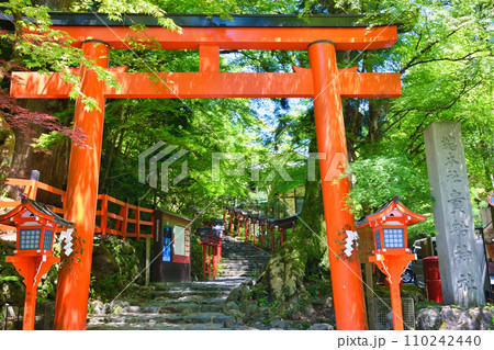 京都 新緑の貴船神社(京都府京都市) 京都 新緑の貴船神社(京都府京都市) 110242440