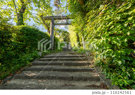 波波伎神社(ははきじんじゃ)鳥居 鳥取県倉吉市福庭 波波伎神社(ははきじんじゃ)鳥居 鳥取県倉吉市福庭 110242561