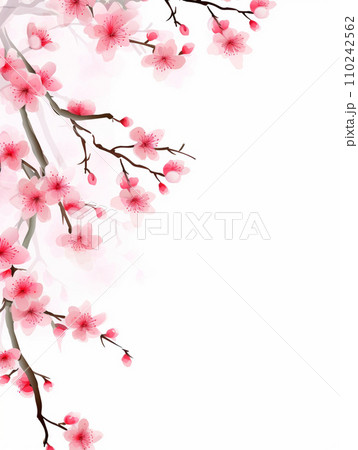 桜 ソメイヨシノ 桜 ソメイヨシノ 110242562
