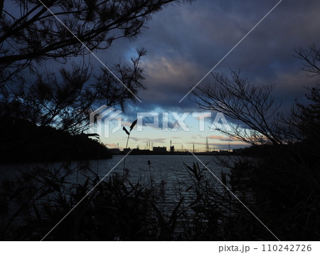 寒そうな冬の風景 110242726