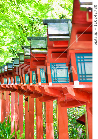 京都 新緑の貴船神社(京都府京都市) 京都 新緑の貴船神社(京都府京都市) 110242780