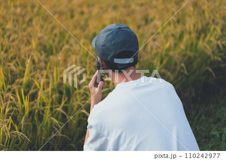 rice farming 110242977