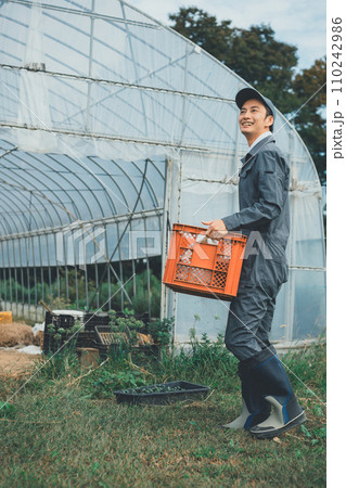 vegetable field vegetable field 110242986