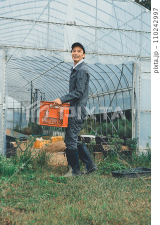 vegetable field 110242997