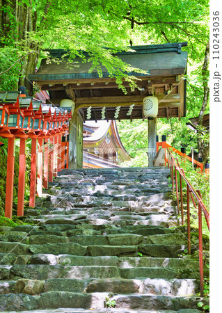 京都　新緑の貴船神社（京都府京都市） 110243036