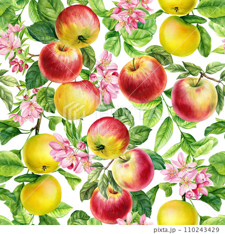 Apple Seamless pattern. Botanical painting watercolor illustration. Branch with apple fruits, leaves, flowers Apple Seamless pattern. Botanical painting watercolor illustration. Branch with apple fruits, leaves, flowers 110243429