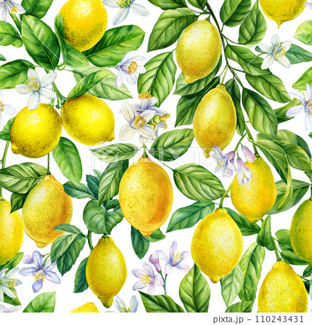 Lemon seamless pattern. Citrus fruits, twig, leaves for design paper, fabric, decor. Botanical watercolor painting 110243431