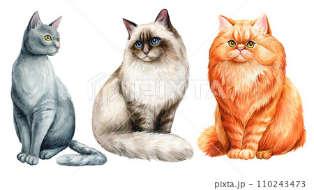 Cats set hand drawing on an isolated white background. Animal watercolor illustration. Cute pet hand drawn, funny cats 110243473