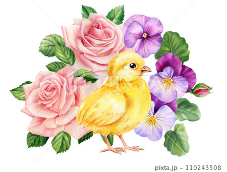 Chick and beautiful spring flowers, small yellow bird on isolated white background in watercolor hand-drawn illustration 110243508