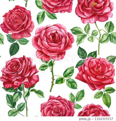 Red roses, Seamless pattern with delicate flower, watercolor painting. Floral design, botanical background, garden flora Red roses, Seamless pattern with delicate flower, watercolor painting. Floral design, botanical background, garden flora 110243537