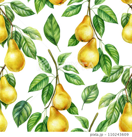 Artistic seamless background with pear fruits. Design for paper, cover, fabric, decor. Botanical watercolor fruit 110243609