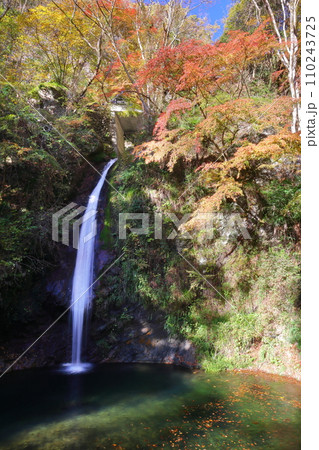 埼玉県秩父郡皆野町上日野沢　日野沢三滝のひとつで日光の華厳の滝から名前をとった秩父華厳の滝と紅葉 110243725