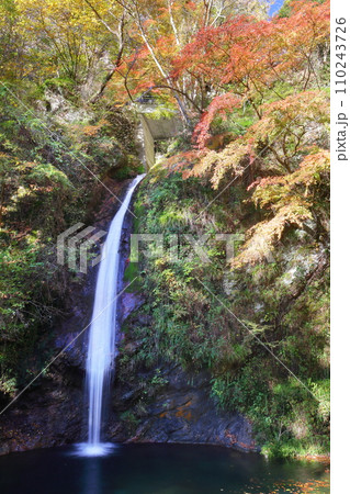 埼玉県秩父郡皆野町上日野沢　日野沢三滝のひとつで日光の華厳の滝から名前をとった秩父華厳の滝と紅葉 110243726