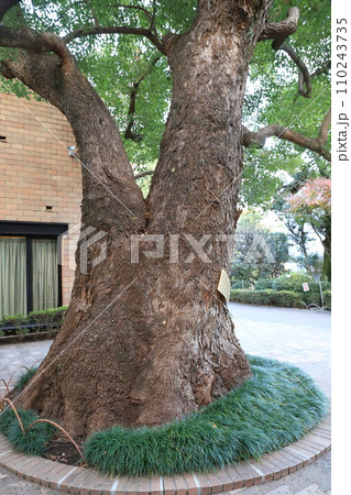 世田谷区立郷土資料館（＆世田谷代官屋敷）　 110243735