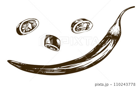 Chilli Vector illustration of cayenne pepper. Hot pepper in engraved style, ingredient of Mexican cuisine. The whole strand and pieces are drawn with ink. Isolated on white background. Spicy seasoning Chilli Vector illustration of cayenne pepper. Hot pepper in engraved style, ingredient of Mexican cuisine. The whole strand and pieces are drawn with ink. Isolated on white background. Spicy seasoning 110243778