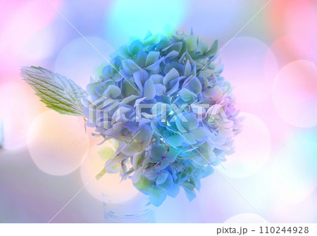 紫陽花のある風景 紫陽花のある風景 110244928