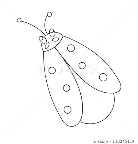 Ladybug or ladybird simple flat design red and black. Vector illustration isolated on white background Ladybug or ladybird simple flat design red and black. Vector illustration isolated on white background 110245114