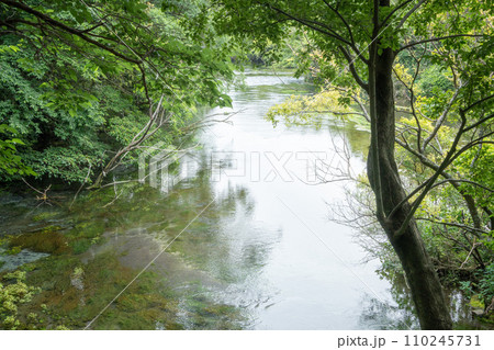 柿田川湧水公園 柿田川湧水公園 110245731