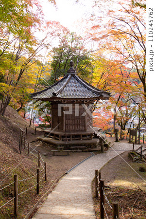 香嵐渓の太子堂と紅葉(愛知県豊田市香嵐渓) 香嵐渓の太子堂と紅葉(愛知県豊田市香嵐渓) 110245762