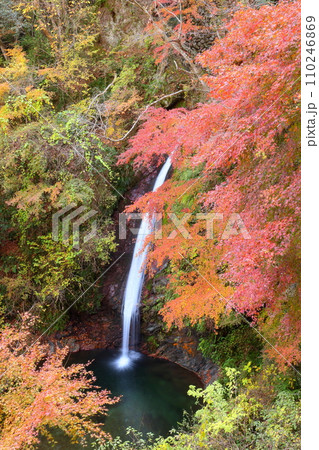 埼玉県秩父郡皆野町上日野沢 日野沢三滝のひとつで日光の華厳の滝から名前をとった秩父華厳の滝と紅葉 埼玉県秩父郡皆野町上日野沢 日野沢三滝のひとつで日光の華厳の滝から名前をとった秩父華厳の滝と紅葉 110246869