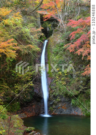 埼玉県秩父郡皆野町上日野沢　日野沢三滝のひとつで日光の華厳の滝から名前をとった秩父華厳の滝と紅葉 110246888