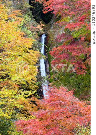 埼玉県秩父郡皆野町上日野沢 日野沢三滝のひとつで日光の華厳の滝から名前をとった秩父華厳の滝と紅葉 埼玉県秩父郡皆野町上日野沢 日野沢三滝のひとつで日光の華厳の滝から名前をとった秩父華厳の滝と紅葉 110246893