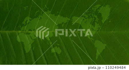 大きな緑の葉っぱに描いた、葉脈が美しい世界地図 110249484
