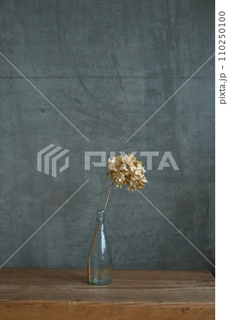 花瓶に入れたドライフラワーのあじさい 花瓶に入れたドライフラワーのあじさい 110250100