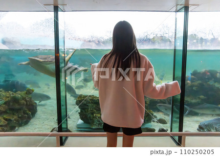 八景島シーパラダイス 八景島シーパラダイス 110250205