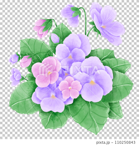 Watercolor hand drawn illustration Violet purple flowers and leaves bouquet for wedding invitation bridal shower greeting card Watercolor hand drawn illustration Violet purple flowers and leaves bouquet for wedding invitation bridal shower greeting card 110250843