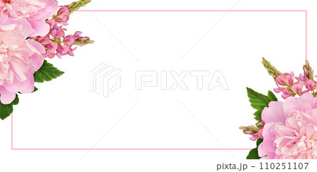 Pink peonies and onobrychis flowers in a corner floral arrangements and a frame isolated on white 110251107