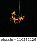 線香花火 110251126