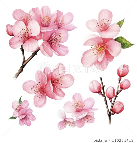 set of sakura flowers. watercolor drawing, branches with pink sakura and cherry flowers. spring in japan set of sakura flowers. watercolor drawing, branches with pink sakura and cherry flowers. spring in japan 110251415