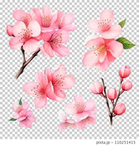 set of sakura flowers. watercolor drawing, branches with pink sakura and cherry flowers. spring in japan set of sakura flowers. watercolor drawing, branches with pink sakura and cherry flowers. spring in japan 110251415