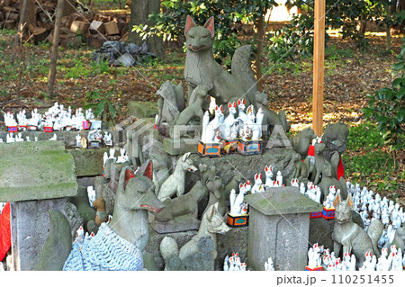 箭弓稲荷神社【埼玉県東松山市】 110251455
