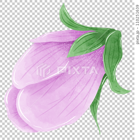 Watercolor hand drawn illustration Violet purple flower for wedding invitation bridal shower greeting card 110251639