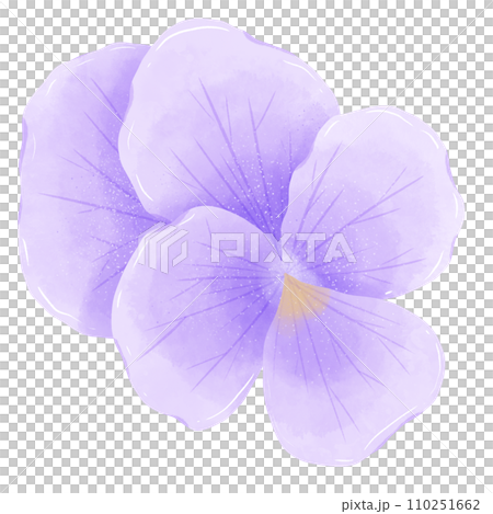 Watercolor hand drawn illustration Violet purple flower for wedding invitation bridal shower greeting card 110251662