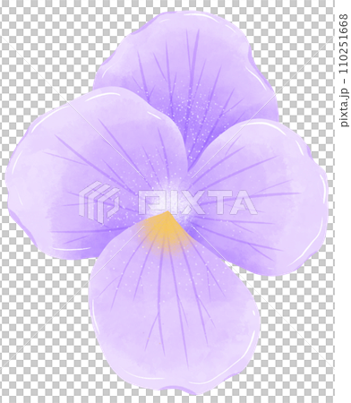 Watercolor hand drawn illustration Violet purple flower for wedding invitation bridal shower greeting card Watercolor hand drawn illustration Violet purple flower for wedding invitation bridal shower greeting card 110251668