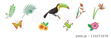 Tropical Blooming Flora and Botany Plant with Fauna Vector Set Tropical Blooming Flora and Botany Plant with Fauna Vector Set 110251676