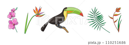 Tropical Blooming Flora and Botany Plant with Toucan Vector Set Tropical Blooming Flora and Botany Plant with Toucan Vector Set 110251686