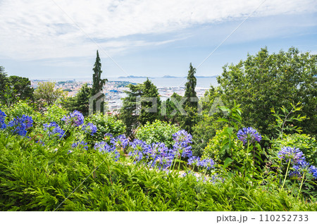 Park Monte del Castro, park located on a hill in Vigo, the biggest city in Galicia Region, in the North of Spain. Trees, paths, selective focus 110252733