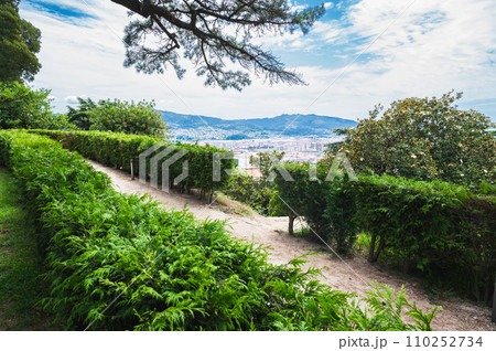 Park Monte del Castro, park located on a hill in Vigo, the biggest city in Galicia Region, in the North of Spain. Trees, paths, selective focus 110252734