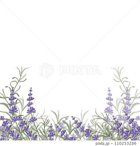 Floral purple-lavender border made of lavender flowers and leaves, for the design of postcards, invitations, banners, packaging and wallpaper. A frame for your design. Vector illustration Floral purple-lavender border made of lavender flowers and leaves, for the design of postcards, invitations, banners, packaging and wallpaper. A frame for your design. Vector illustration 110253286
