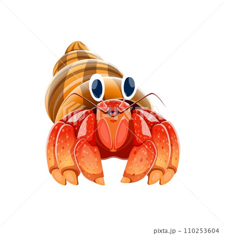 Cartoon hermit crab character. Sea or ocean bottom wildlife or fauna, underwater life funny personage. Tropical sea crustacean animal isolated vector character, hermit crab with conch shell mascot Cartoon hermit crab character. Sea or ocean bottom wildlife or fauna, underwater life funny personage. Tropical sea crustacean animal isolated vector character, hermit crab with conch shell mascot 110253604