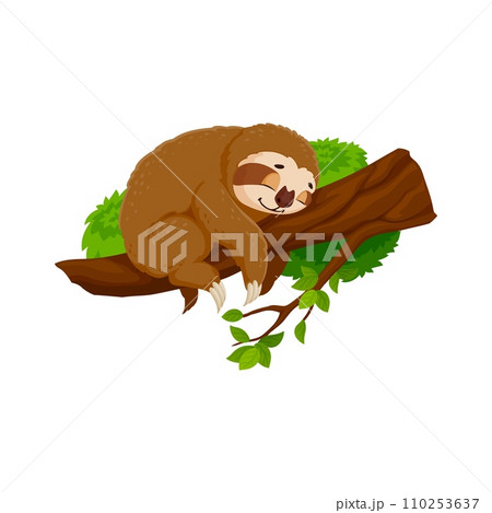Cartoon funny sloth character peacefully slumbers on tree branch. Isolated vector cute tropical animal nap, its tranquil expression and relaxed posture capturing the essence slow and easygoing nature 110253637